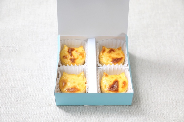 全家開賣「NEKO NEKO CHEESECAKE貓貓起司蛋糕」！折耳貓、波斯貓都萌，還送貓貓保冷袋
