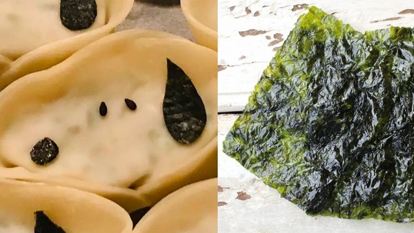 跟著孫仙一起包餃子！韓網爆紅「史努比煎餃」食譜教學，零廚藝也能輕鬆上手