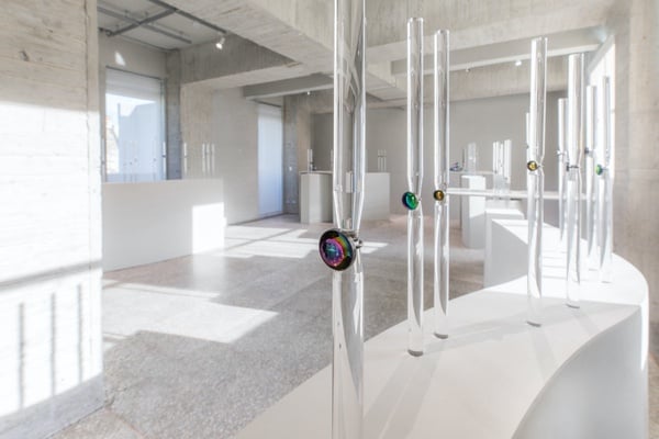 2021下半年「微解封」必逛展覽懶人包，《teamLab》10月開跑、《貓・美術館》線上開展