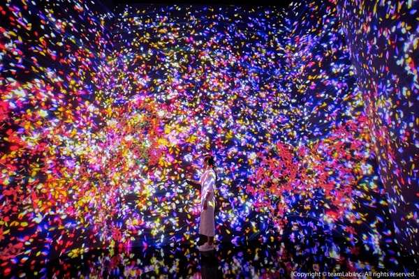 2021下半年「微解封」必逛展覽懶人包，《teamLab》10月開跑、《貓・美術館》線上開展