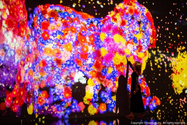 2021下半年「微解封」必逛展覽懶人包，《teamLab》10月開跑、《貓・美術館》線上開展