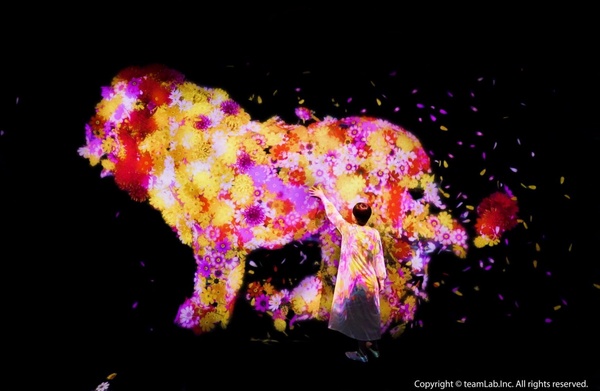 2021下半年「微解封」必逛展覽懶人包，《teamLab》10月開跑、《貓・美術館》線上開展