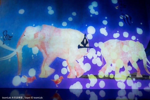 2021下半年「微解封」必逛展覽懶人包，《teamLab》10月開跑、《貓・美術館》線上開展