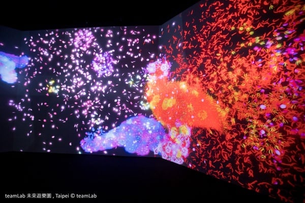 2021下半年「微解封」必逛展覽懶人包，《teamLab》10月開跑、《貓・美術館》線上開展