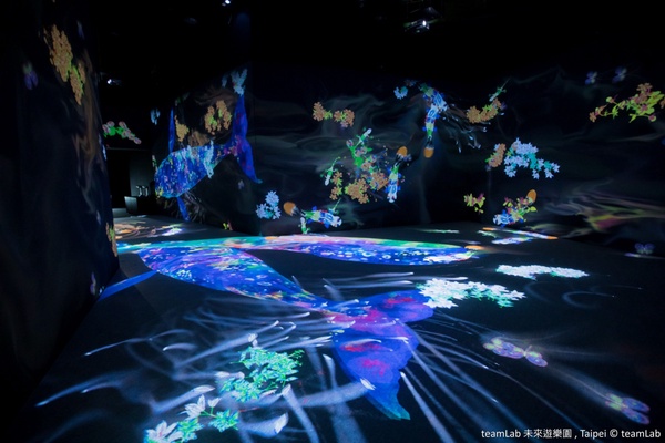 2021下半年「微解封」必逛展覽懶人包，《teamLab》10月開跑、《貓・美術館》線上開展