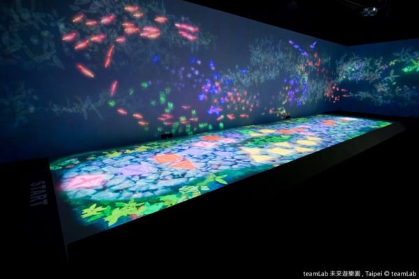 2021下半年「微解封」必逛展覽懶人包，《teamLab》10月開跑、《貓・美術館》線上開展