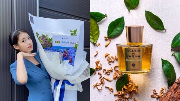 韓韶禧、秀智都愛這牌！10款韓國女星愛用香水大公開，Jo Malone、潘海利根也上榜