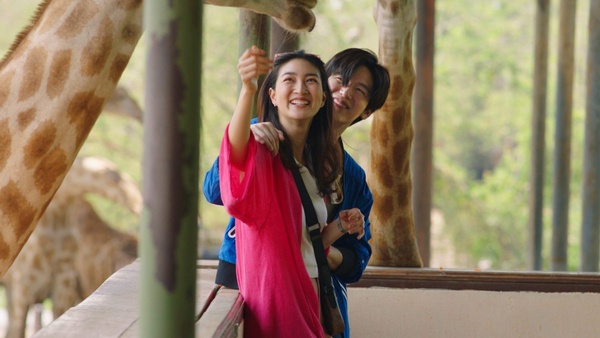 NETFLIX八月推薦片單！《當男人戀愛時》強檔上線，韓劇《海岸村恰恰恰》浪漫開播