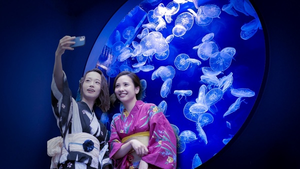 穿浴衣逛水族館、賞花火！Xpark水族館一週年變身日本夏日祭典，還可玩破西瓜、釣水球