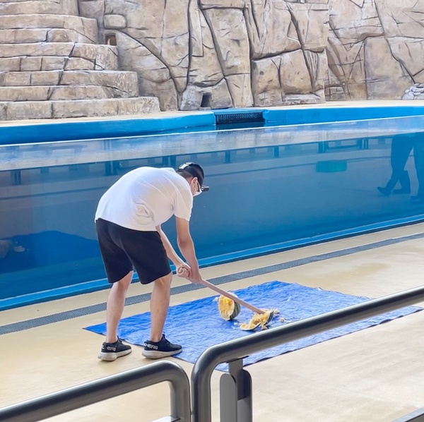 穿浴衣逛水族館、賞花火！Xpark水族館一週年變身日本夏日祭典，還可玩破西瓜、釣水球