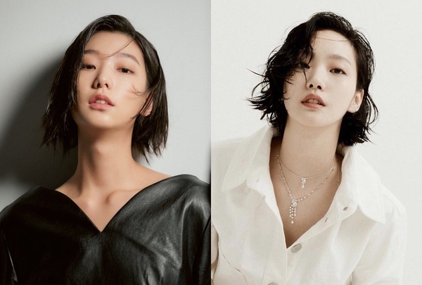 Netflix《無法抗拒的他》演員撞臉集合：李皓京 和金高銀好像？