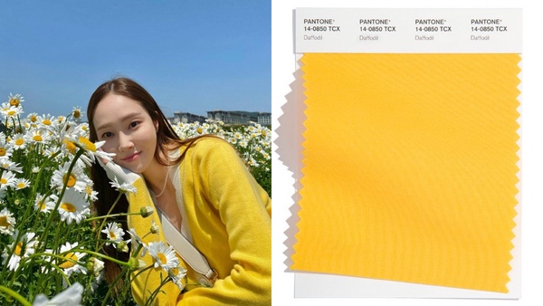 PANTONE 2022代表色出爐！春夏時裝流行色 「羅勒綠」、「棉花糖藍」療癒又顯白