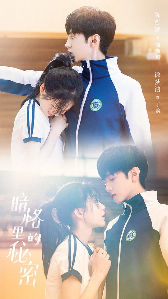 網評2021「小說神還原的陸劇CP」TOP 7：陳哲遠＆徐夢潔《暗格裡的秘密》
