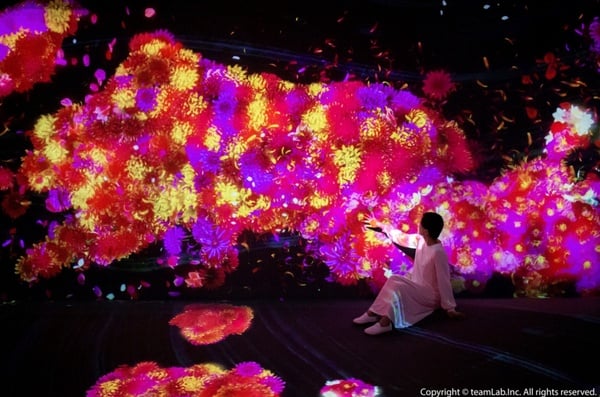 日本最美teamLab未來遊樂園互動展在高雄！700坪絕美遊樂園、9大展區，必去亮點搶先看