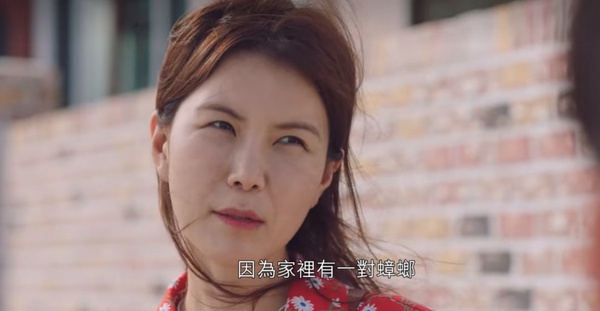 《海岸村》從美善角度看兩人放閃！上班應付愛情苦惱，有家歸不得午飯吃不好，美善實慘