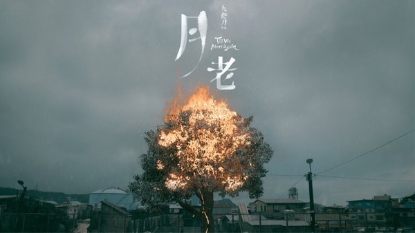 【金馬58】10部入圍的優質電影推薦 ！賈靜雯《瀑布》好評不斷，《美國女孩》催淚動人