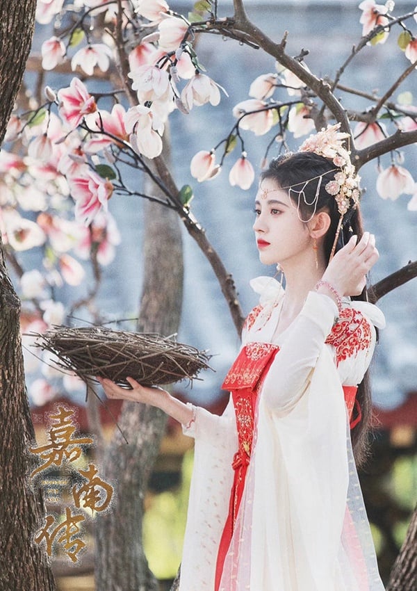 古裝劇《嘉南傳》古裝女神1：鞠婧禕 飾演 姜保寧
