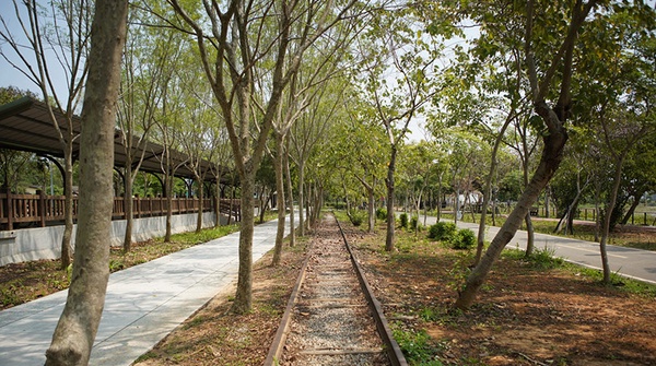全台十大自行車道懶人包！金黃色稻田、蔚藍海岸線，絕美景色大公開