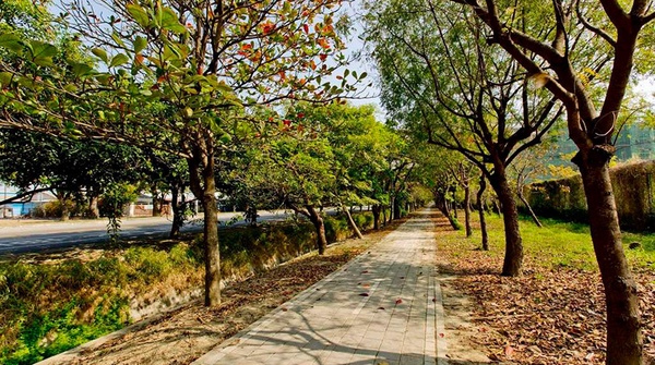 全台十大自行車道懶人包！金黃色稻田、蔚藍海岸線，絕美景色大公開