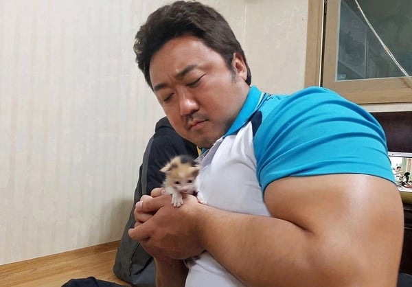 網議「韓劇不會有的情節」！貧窮的李敏鎬、人生順利李準基、沒女人緣的玄彬，真演不了