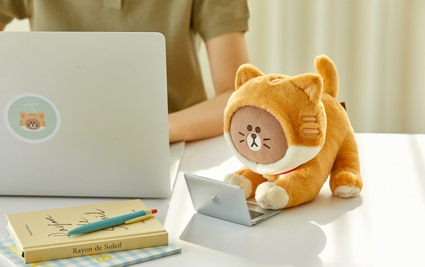 貓貓熊大可愛來襲！LineFriends新推出「貓咪熊大系列」，貓咪熊大抱枕、零錢包太欠收
