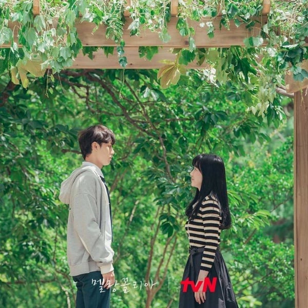 林秀晶＆李到晛《憂鬱症》大談「校園禁忌師生戀」！大勢配角加持堪稱「華麗製作」
