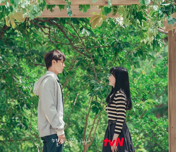 熱播韓劇評價！《衣袖紅鑲邊》口碑贏《現正分手中》，澤演洗脫《文森佐》爛演技罵名？