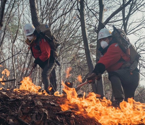 假如《智異山》換人寫？《鬼怪》金編會寫成朱智勳全智賢山神戀，順玉會把智異山變「死而復生」奇山