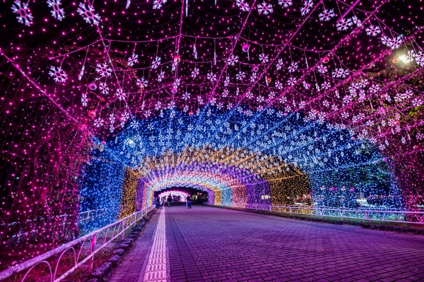 「2021屏東聖誕節」即日起登場!漸層雪花燈海隧道太浪漫,超夢幻粉紅聖誕村必朝聖!