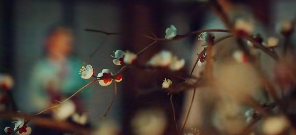 《衣袖紅鑲邊》彩蛋細節！結局「凌霄花」盛開藏隱喻，祘因德任分心，寫下的字是「愛」