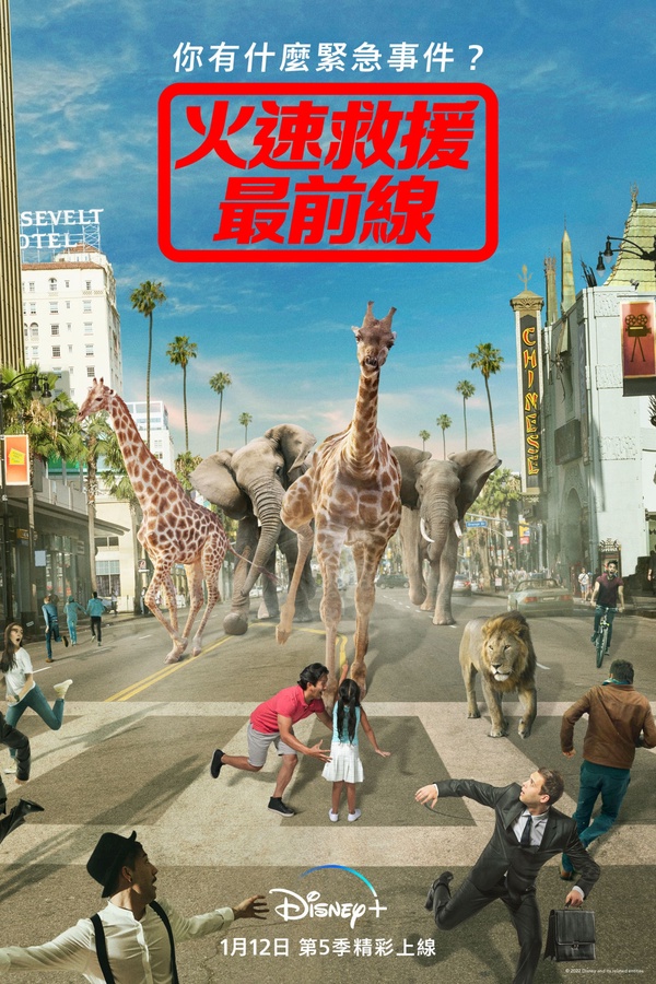 《永恆族》即將上線！DISNEY+一月片單推薦，《神鬼獵人》、《鳥人》經典必追