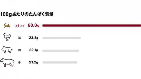 無印良品新推出「蟋蟀巧克力棒」！蛋白質含量高出一般巧克力棒三倍，營養又環保！