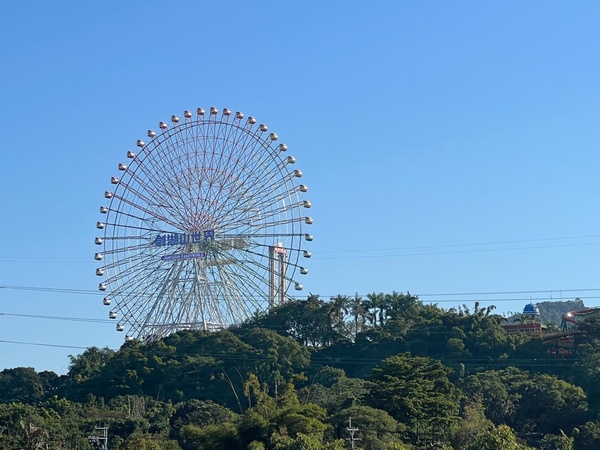 2022屬虎專屬！生肖屬「虎」優惠懶人包，六福村全年半價、飯店Buffet 75折！