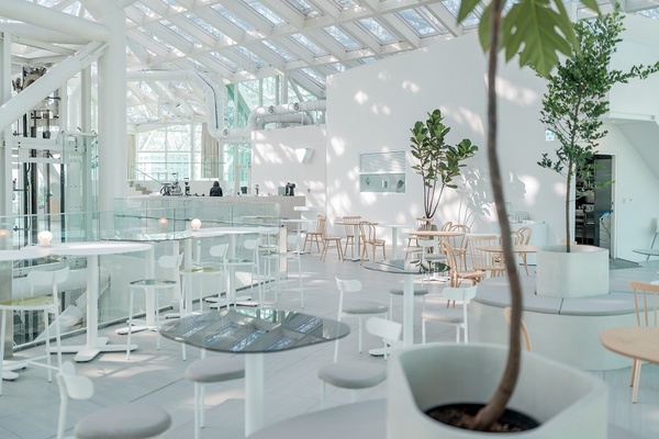 台南景點再+1！「南美春室The POOL」插旗美術館，絕美玻璃天井，陽光灑落好夢幻！