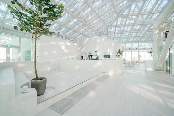 台南景點再+1！「南美春室The POOL」插旗美術館，絕美玻璃天井，陽光灑落好夢幻！