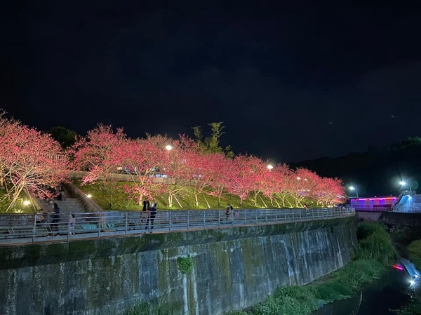 春天賞櫻去！2022「全台10大賞櫻景點」推薦，這裡搭捷運就能抵達！