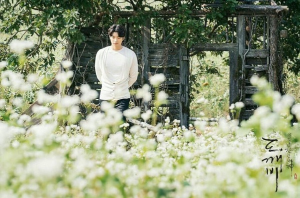 不只玫瑰,送這5種花也超有心!2022情人節花束推薦,浪漫花語讓你融化對方的心