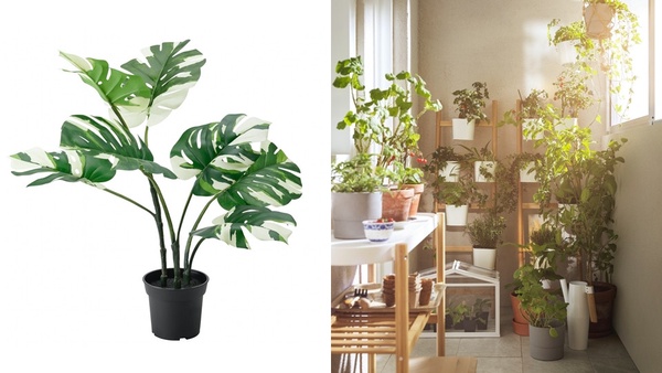 IKEA 2022絕版品出清：FEJKA人造盆栽，原價NT$799、特價NT$299