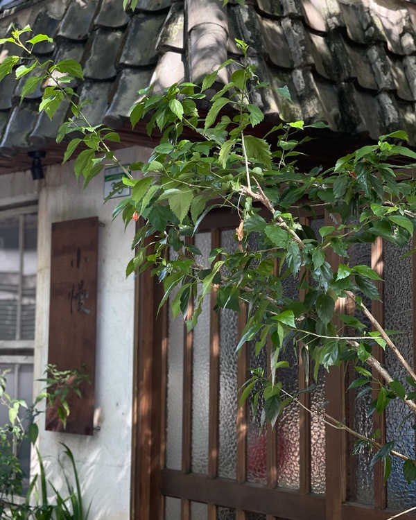 咖啡廳外的新選擇！5間台北必去茶館，時髦感、空靈系任你選，姐妹下午茶就挑這間！