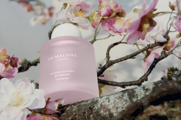嬌蘭 花綻舞櫻淡香水 高訂精繡蜂印瓶，125ml+20ml / NT.25900