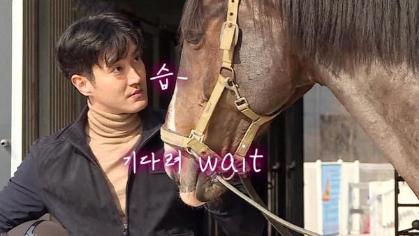 像動物的韓星！《社內相親》安孝燮像始祖鳥？孔劉像恐龍，「撞臉劉在錫的狗狗」最難忘