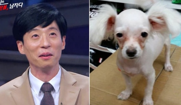 像動物的韓星！《社內相親》安孝燮像始祖鳥？孔劉像恐龍，「撞臉劉在錫的狗狗」最難忘