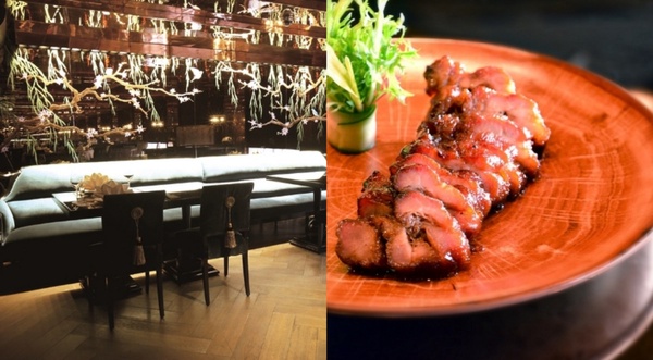 台北飯店港式餐廳推薦！寒舍艾美「港點吃到飽」、喜來登推「飲早茶」、星級頤宮別錯過