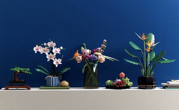 植物也能用拼的！LEGO推出「多肉植物、蘭花、向日葵」樂高組，質感滿分超療癒！