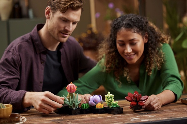 植物也能用拼的！LEGO推出「多肉植物、蘭花、向日葵」樂高組，質感滿分超療癒！