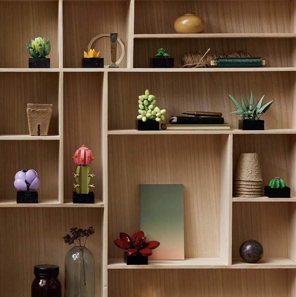 植物也能用拼的！LEGO推出「多肉植物、蘭花、向日葵」樂高組，質感滿分超療癒！