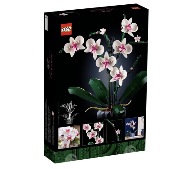 植物也能用拼的！LEGO推出「多肉植物、蘭花、向日葵」樂高組，質感滿分超療癒！