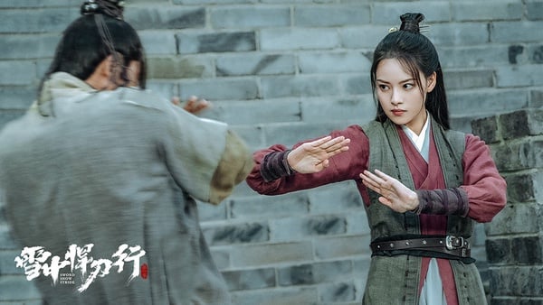 近三年「古裝武俠劇」評分榜TOP 5:《雪中悍刀行》豆瓣評分5.8