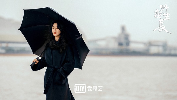 85後陸劇女星「微博超話流量」TOP 1:趙麗穎