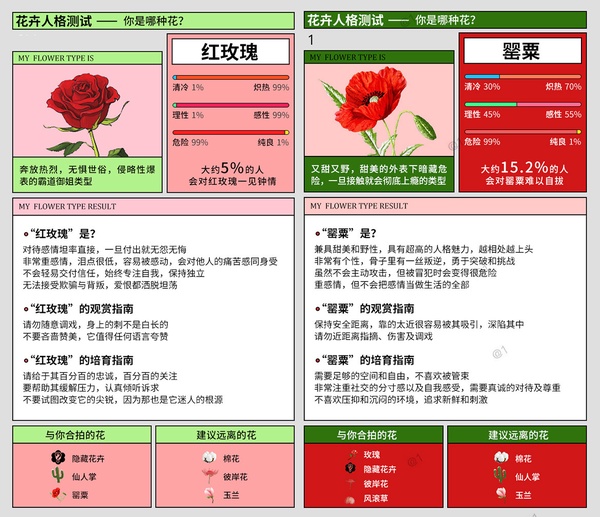 陸網爆紅「花卉人格」心理測驗!簡單七題測出你的代表花卉、性格,分析合拍&遠離花種